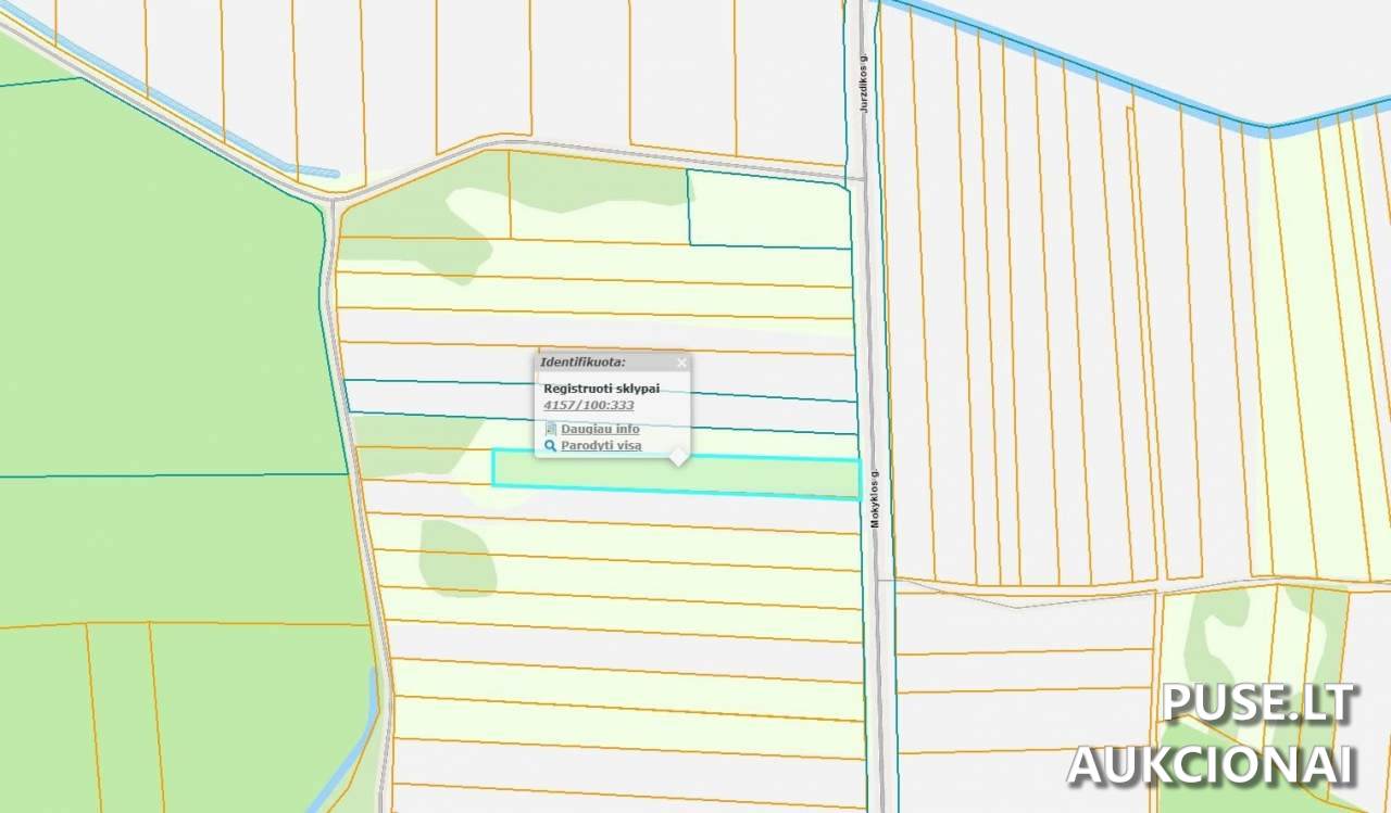 Žemės sklypas Sklypai Vilnius District Municipality, Lithuania 3