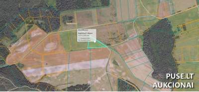 1.57 ha Ūkinės Paskirties Žemės Sklypas Vilniaus Rajone, Kirtimų Kaime, 2800 EUR Pradinė Kaina