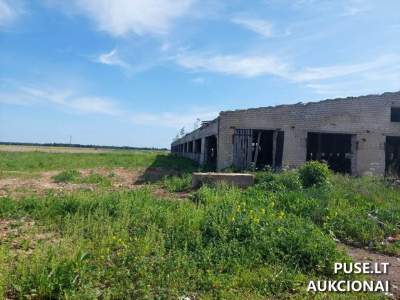 Didelė žemės ūkio paskirties karvidė Jonavos rajone, Kuigalių kaime, pradinė kaina 9580 EUR