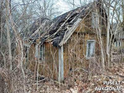 Gyvenamojo namo bendraturčios dalis su ūkiniais pastatais Radviliškio rajone, Šaukote, pradinė kaina 104 EUR