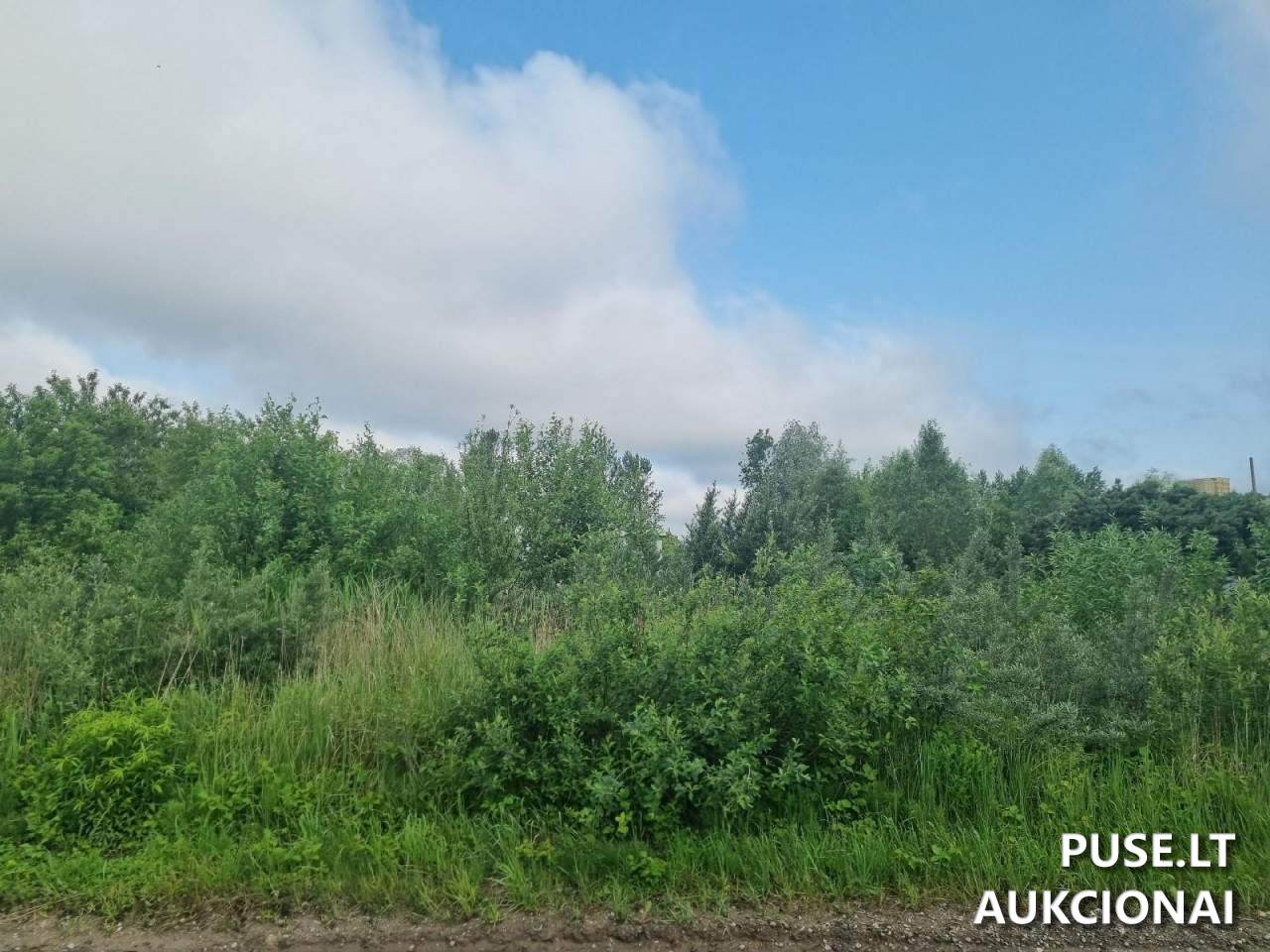 Žemės sklypas Sklypai Ryto g. 6, 83182 Pakruojis, Lithuania 2
