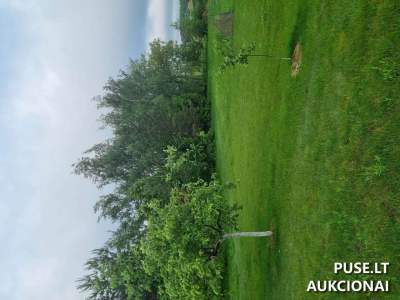 Žemės sklypas Pakruojo mieste Rožių g. 34E parduodamas aukcione nuo 7130 EUR