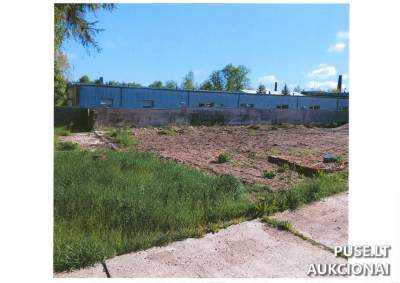 Valstybinės žemės sklypo aukcionas Kalvarijoje, Vilkaviškio g. 1A, pradinė kaina 6405 EUR