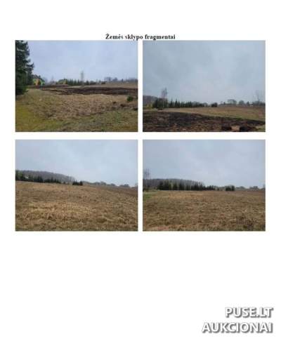 Žemės sklypas Rokiškio rajone, 0,49 ha, pradinė kaina 1380 EUR