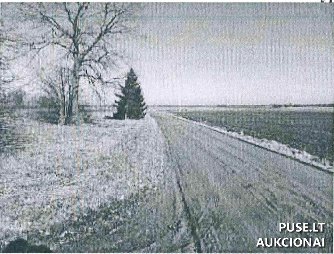 Žemės sklypas Sklypai Marijampolė Municipality, Lithuania 2