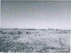 Sklypai - Žemės sklypas