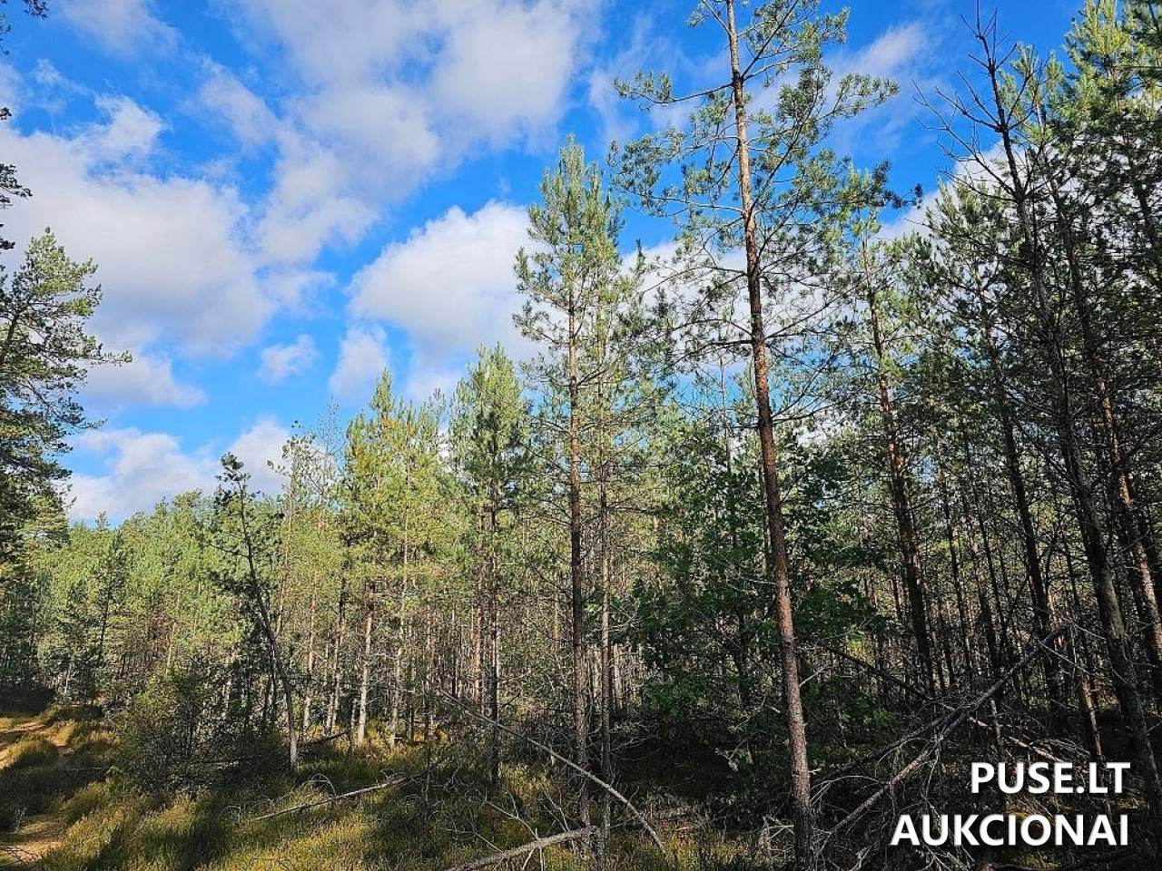 Žemės sklypas Sklypai Šalčininkai District Municipality, Lithuania 2