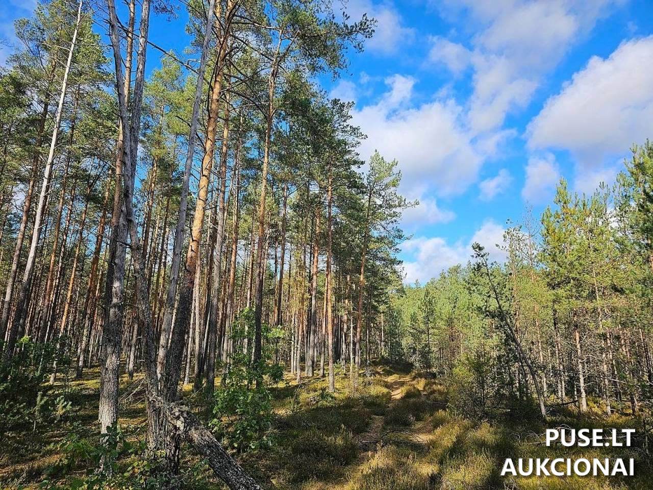 Žemės sklypas Sklypai Šalčininkai District Municipality, Lithuania 3
