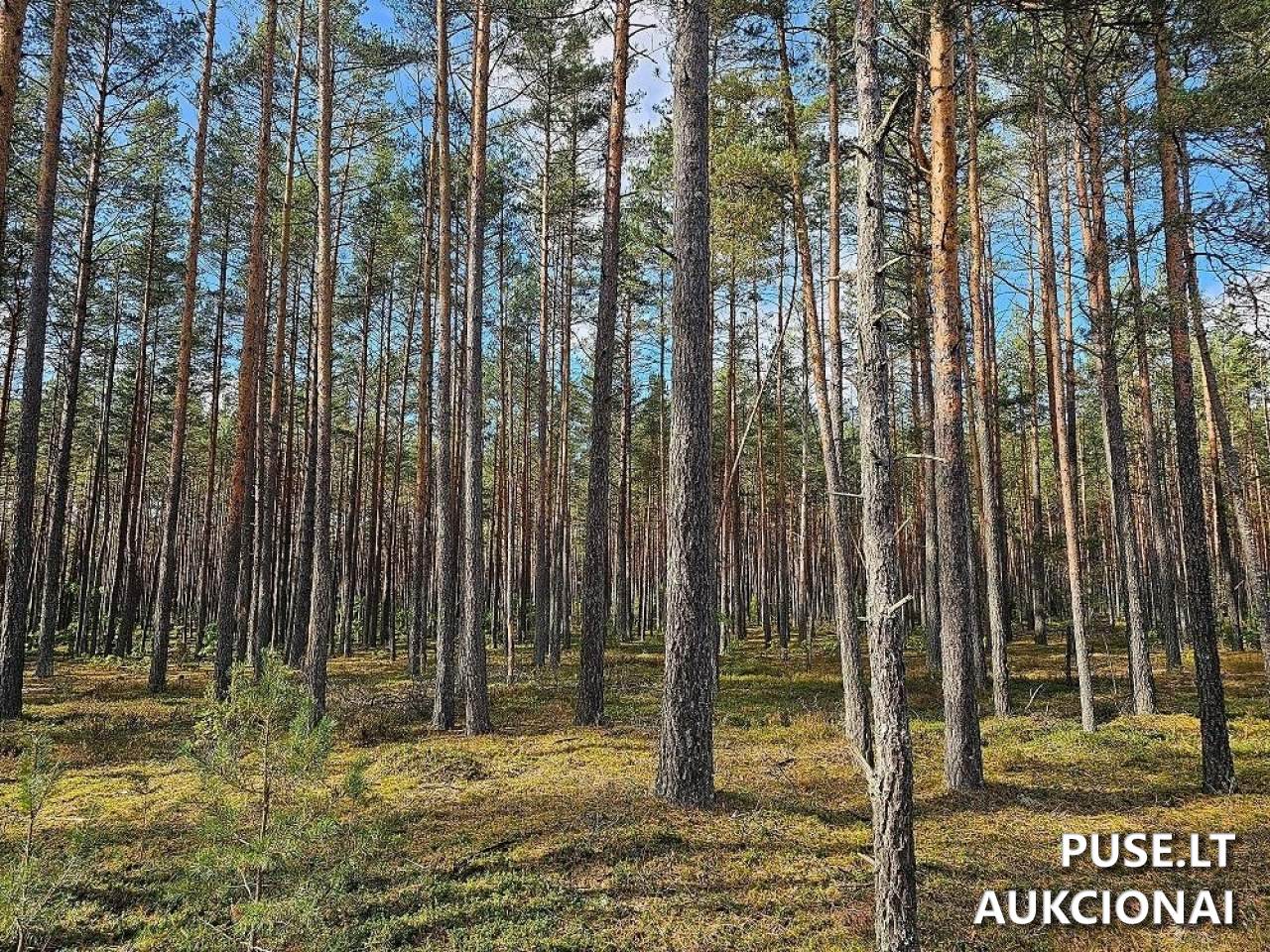 Žemės sklypas Sklypai Šalčininkai District Municipality, Lithuania 5