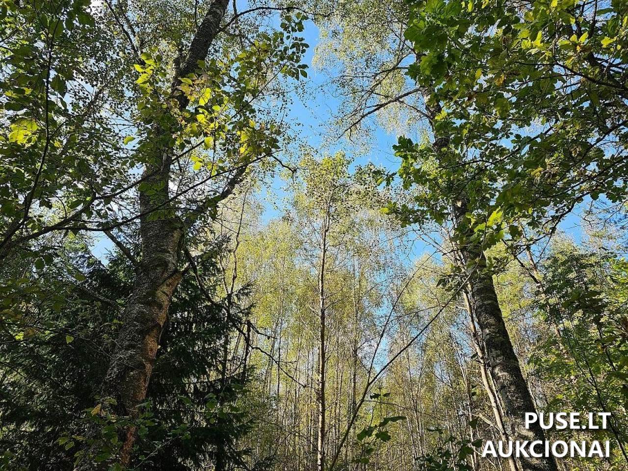 Žemės sklypas Sklypai Šalčininkai District Municipality, Lithuania 6