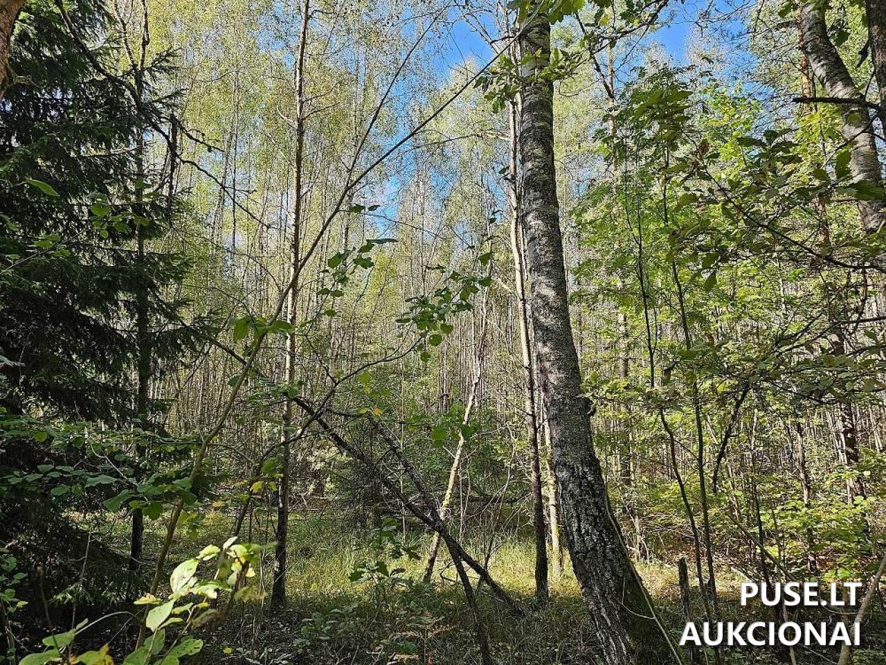 Žemės sklypas Sklypai Šalčininkai District Municipality, Lithuania 7