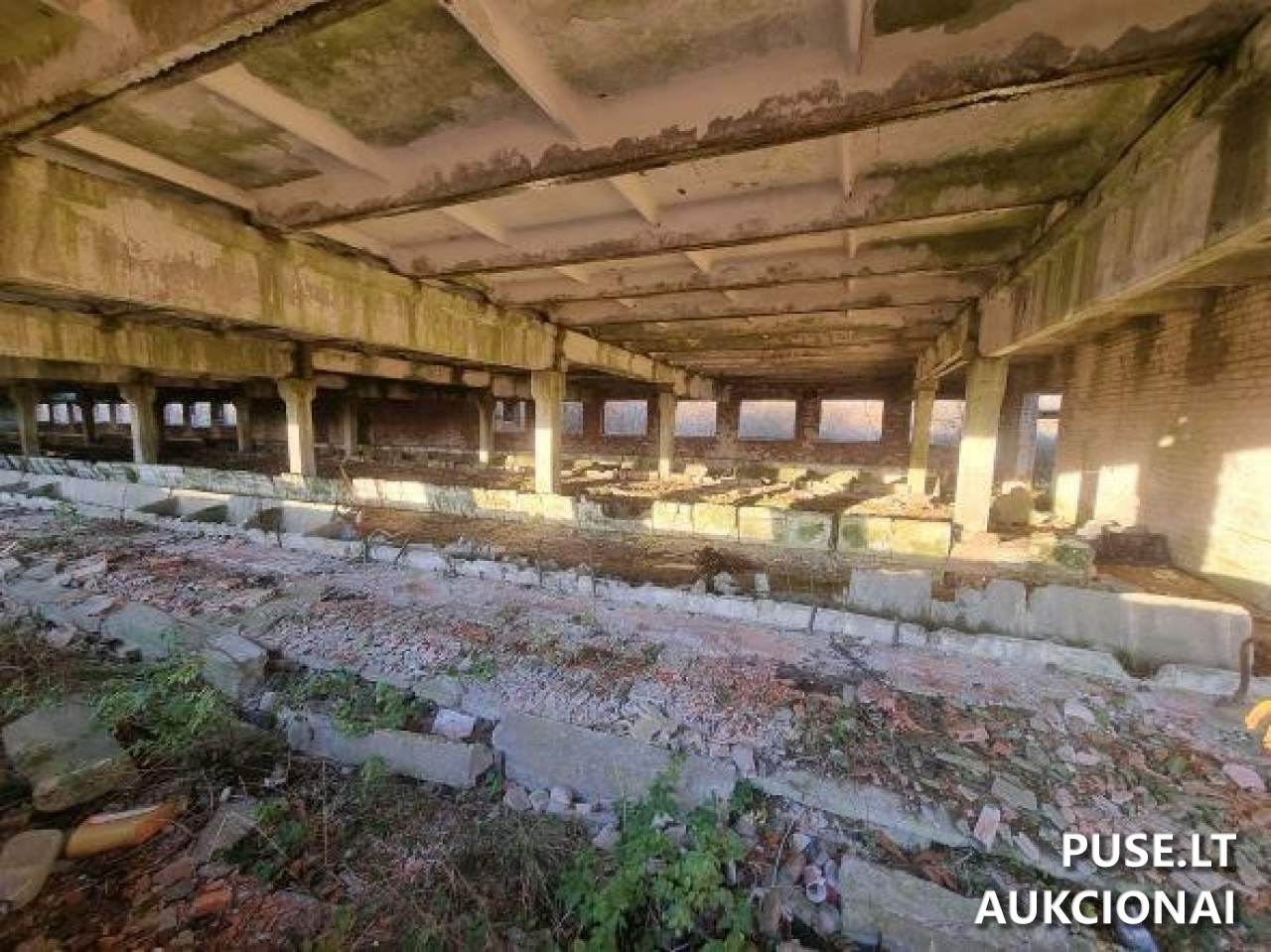 Karvių ferma Pastatai Piliakalnio g. 22, Medžionys, 59351 Prienų r. sav., Lithuania 1