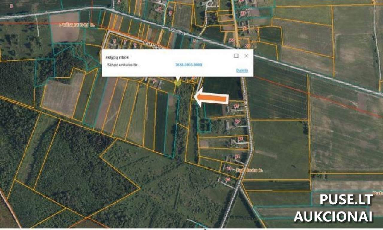 Žemės sklypas Sklypai Pučiakalnė, Biržų r. sav., Lithuania 1