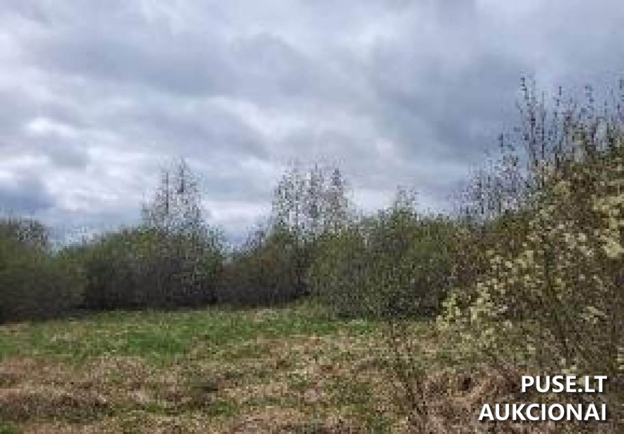 Žemės sklypas Sklypai Pučiakalnė, Biržų r. sav., Lithuania 2