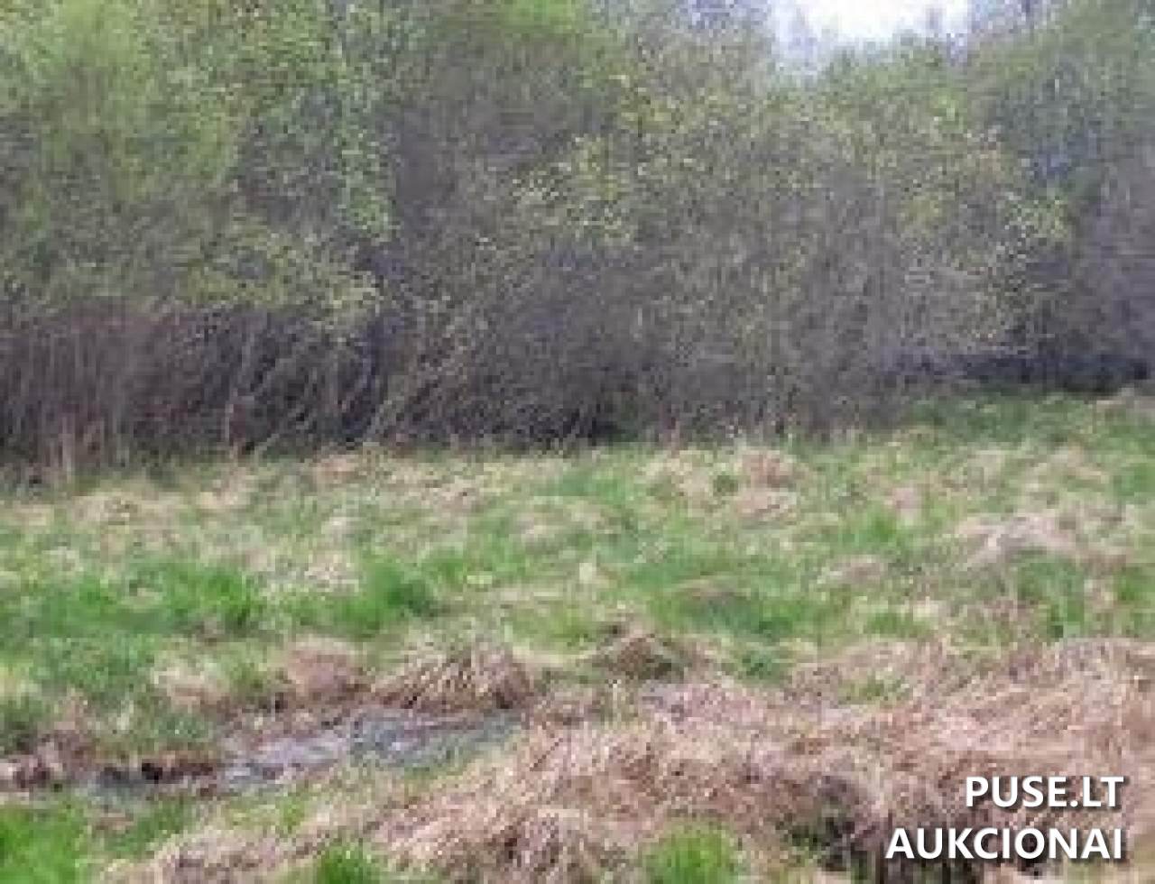 Žemės sklypas Sklypai Pučiakalnė, Biržų r. sav., Lithuania 3