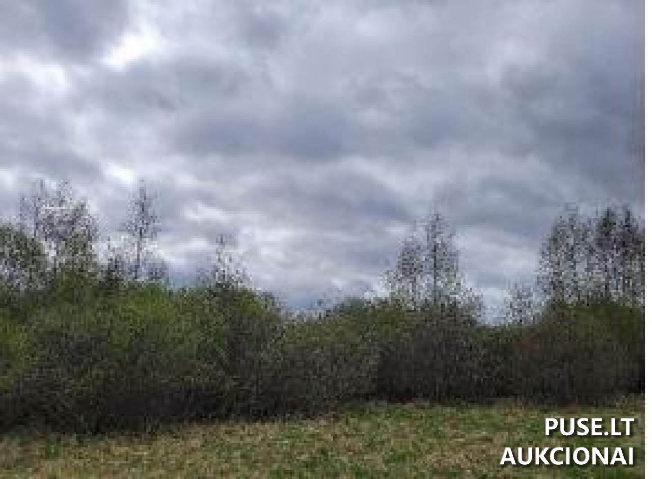 Žemės sklypas Sklypai Pučiakalnė, Biržų r. sav., Lithuania 5