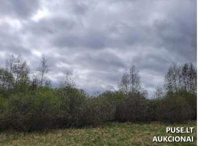 Žemės sklypas Biržų rajone, Pučiakalnės kaime, pradinė kaina 4240 EUR, Pirmosios kategorijos turtas