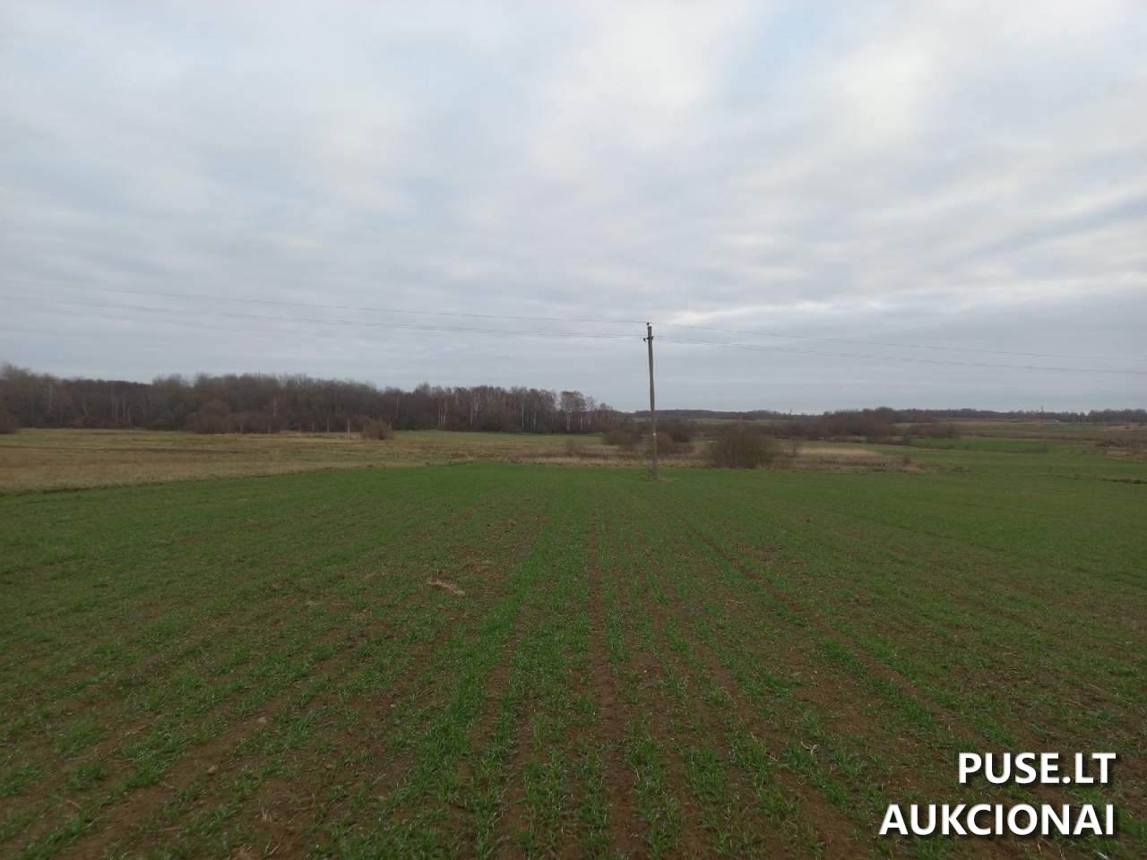 Žemės sklypas Sklypai Plento g 2, Medžiukai, 19156 Širvintų r. sav., Lithuania 2