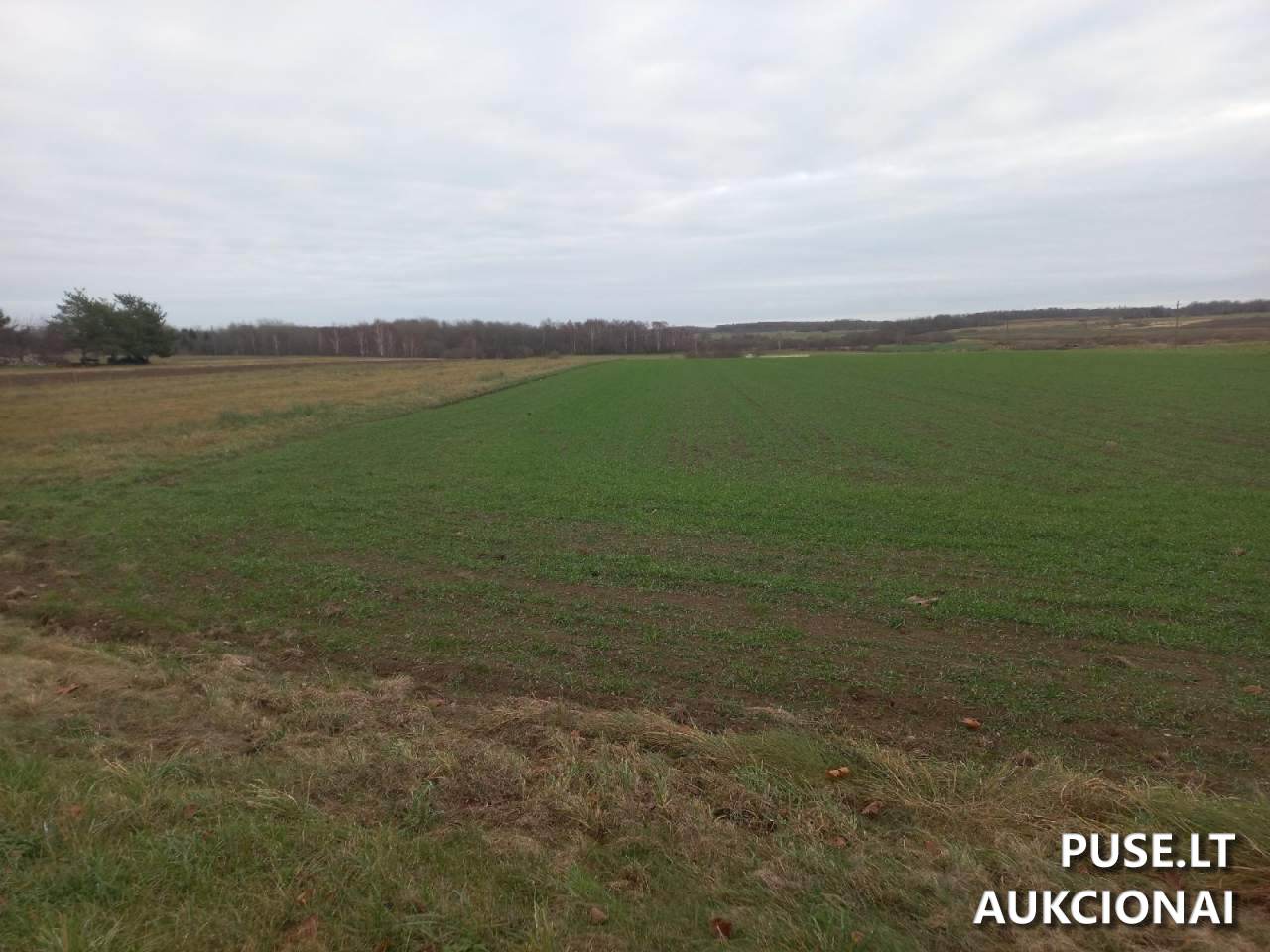 Žemės sklypas Sklypai Plento g 2, Medžiukai, 19156 Širvintų r. sav., Lithuania 3