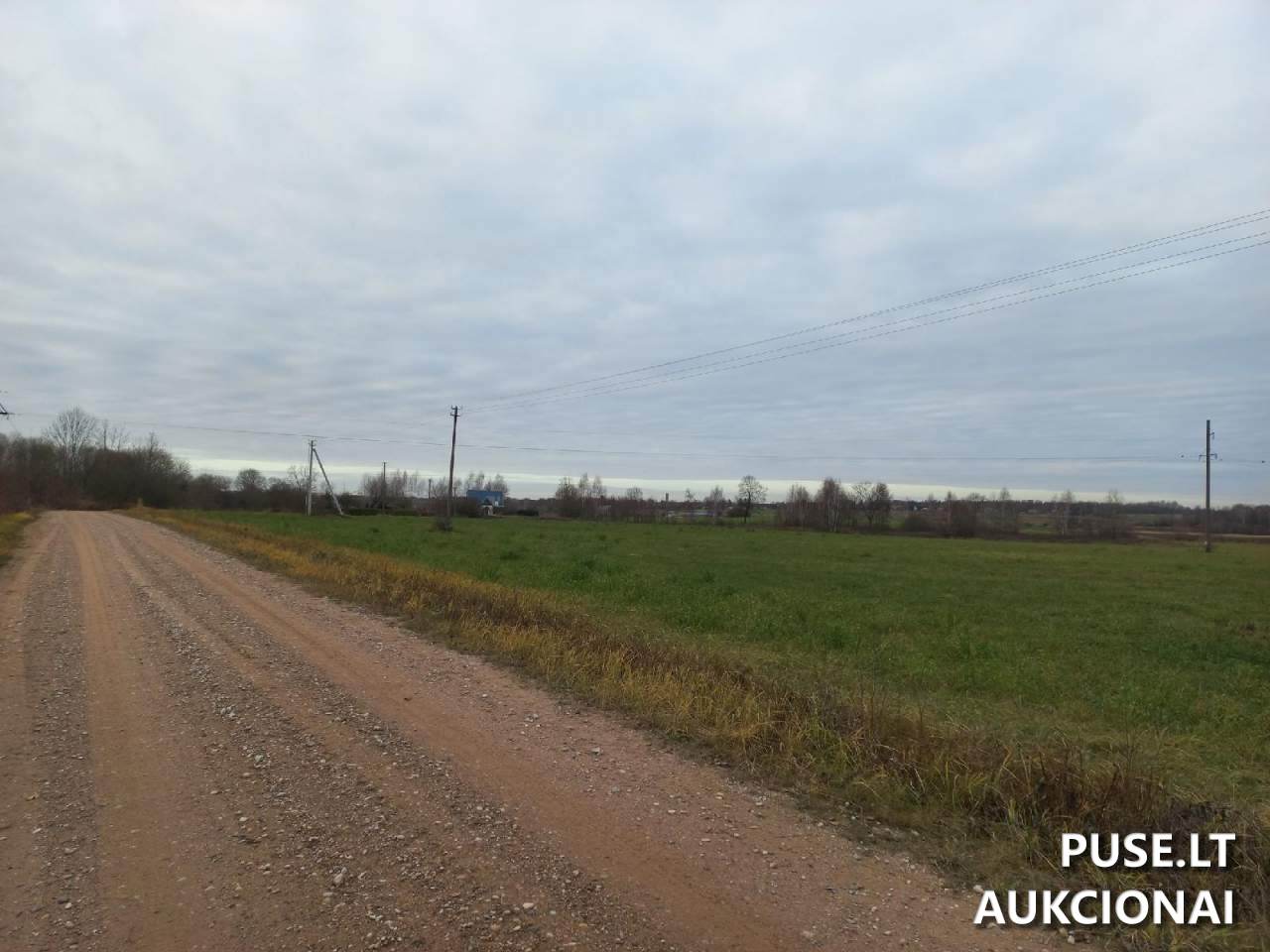 Žemės sklypas Sklypai Širvintos District Municipality, Lithuania 3