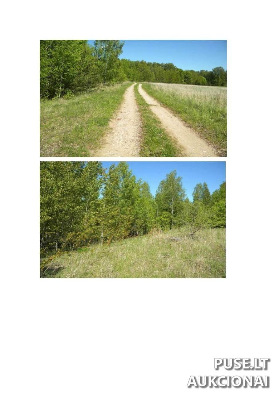 Žemės sklypas Sklypai Verėduvaitė, Verėduva, 60291 Raseinių r. sav., Lithuania 1