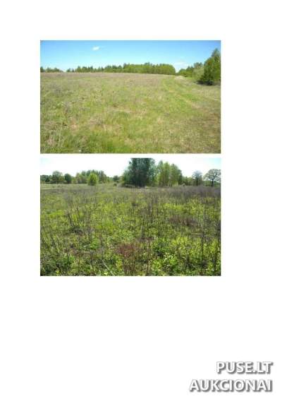 1/2 žemės ūkio sklypo dalis Raseinių r. sav., Verėduvaitės k., 6.41 ha, su pardavimo apribojimais už 12200 EUR