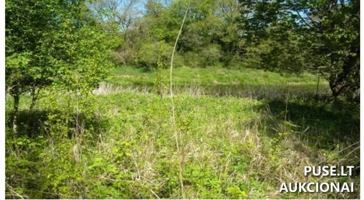 Žemės sklypas Sklypai Verėduvaitė, Verėduva, 60291 Raseinių r. sav., Lithuania 1