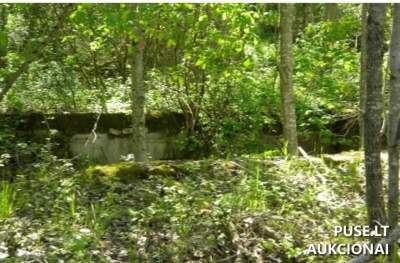 Žemės ūkio paskirties sklypas Raseinių r. sav., Verėduvaitės k., 1.30 ha, pradinė kaina 2080 EUR