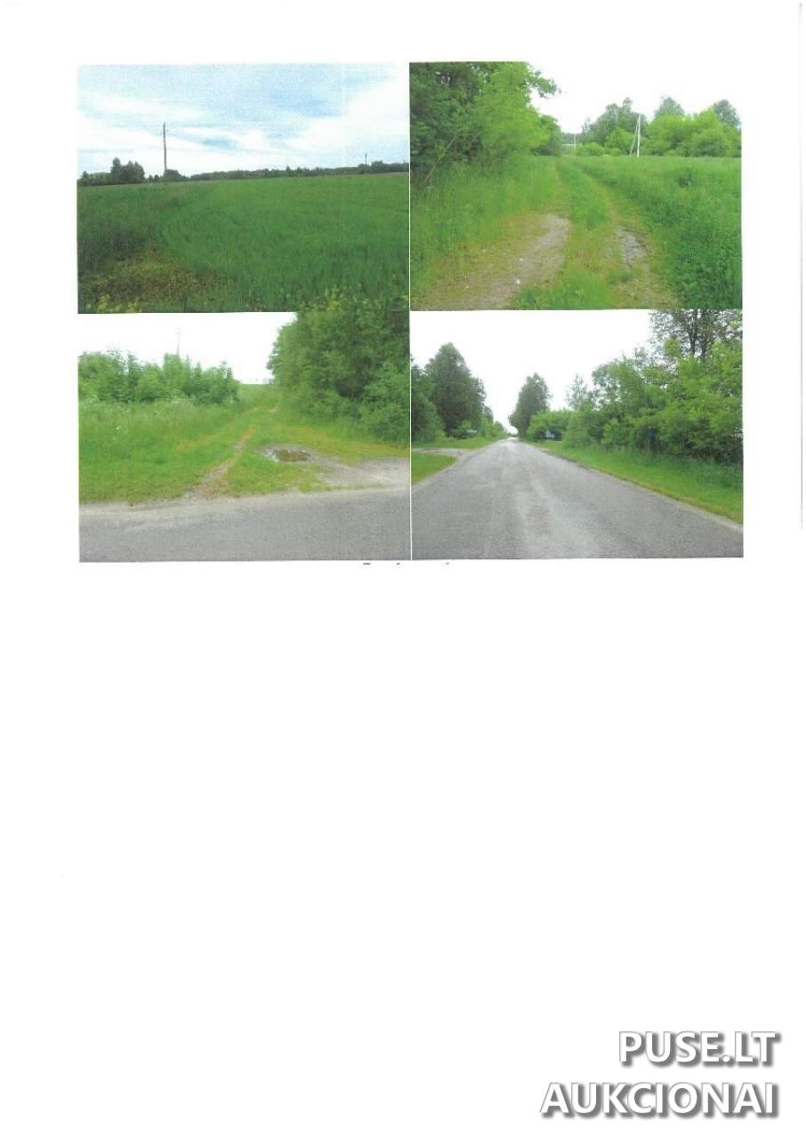 Žemės sklypas Sklypai Vaidlonys, Anykščiai District Municipality, Lithuania 1