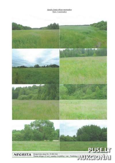 Žemės ūkio sklypas Anykščių rajone, Vaidlonialuose, 1.64 ha, pradinė kaina 4984 EUR | Antstolių varžytynės