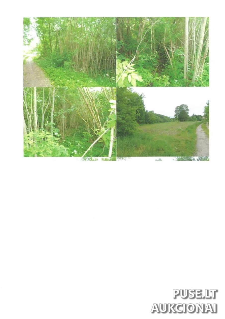Žemės sklypas Sklypai Vaidlonys, Anykščiai District Municipality, Lithuania 5