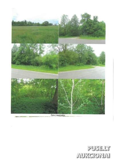 Žemės ūkio sklypas Anykščių rajone, Vaidlonliuose 0.40 ha, pradinė kaina 1120 EUR