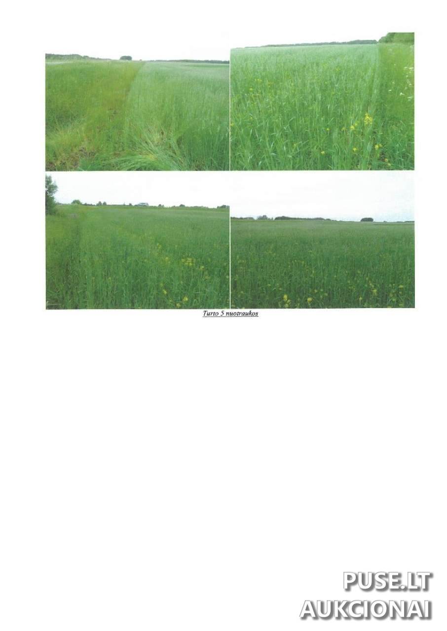 Žemės sklypas Sklypai Vaidlonys, Anykščiai District Municipality, Lithuania 1
