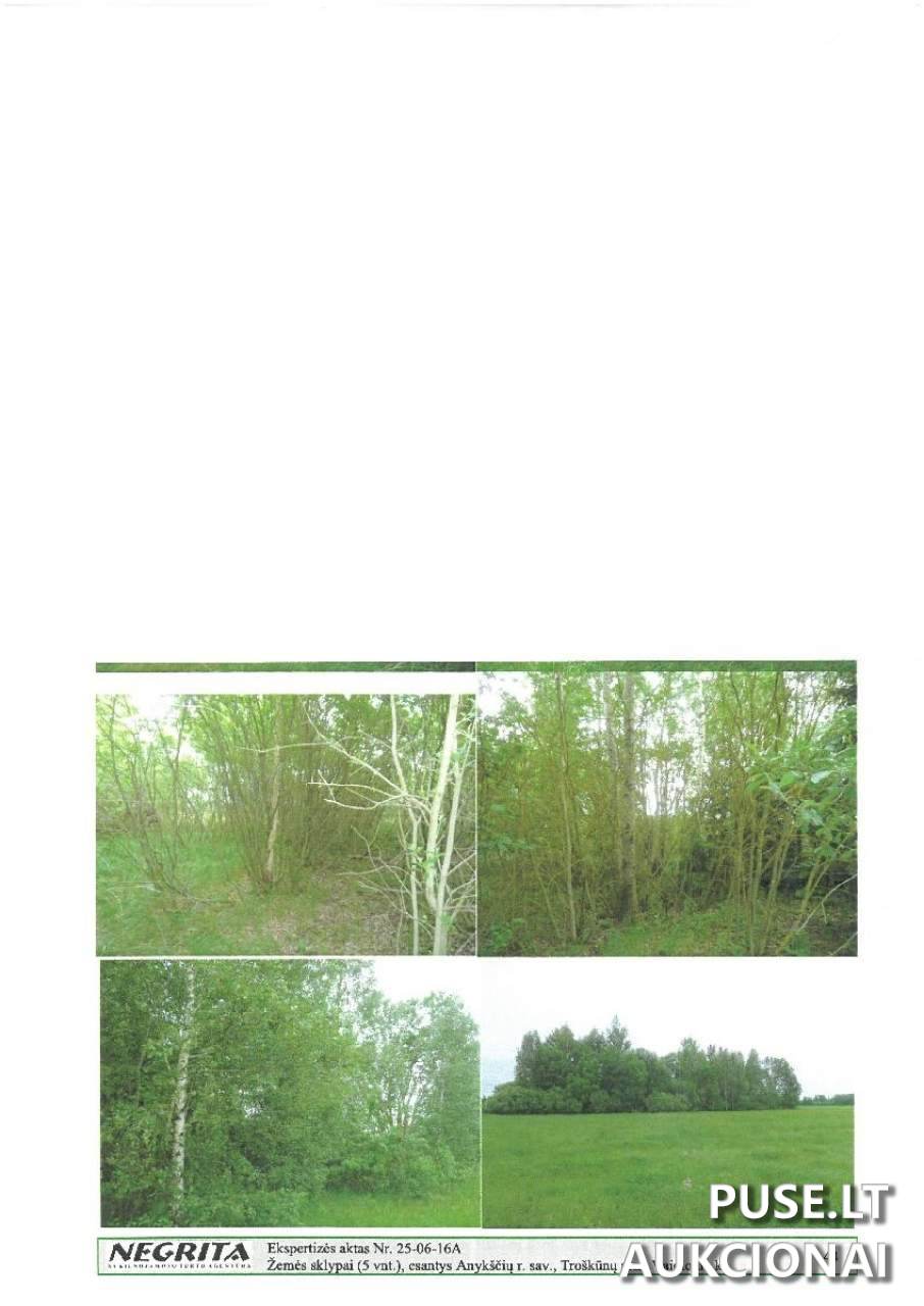 Žemės sklypas Sklypai Vaidlonys, Anykščiai District Municipality, Lithuania 5