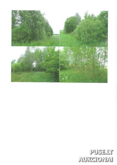 Žemės ūkio paskirties sklypas Anykščių rajone, Vaidlonyliai, 1.49 ha už 6320 EUR