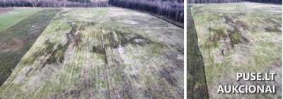 Žemės ūkio paskirties sklypas Klaipėdos r. sav., Kantvainų k. 15900 EUR pradinė kaina - Antstolių varžytynės
