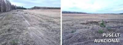 Žemės ūkio paskirties sklypas Klaipėdos rajone, Juodikių kaime, pradinė kaina 5520 EUR
