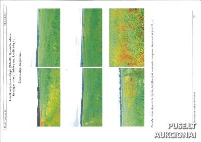 Žemės ūkio paskirties sklypas Kretingos r. sav., Lazdininkų k., 0.4794 ha, pradinė kaina 4560 EUR