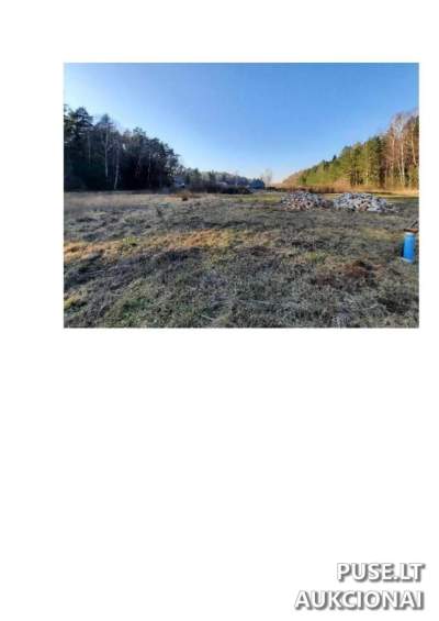 Žemės sklypas su statiniais Birštono m., Kaštonų g. 21, pradinė kaina 25200 EUR