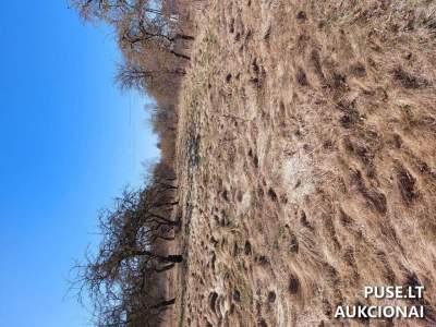 Žemės sklypas Kelmės mieste, Obelų g. 3, parduodamas aukcione 9860 EUR pradinė kaina