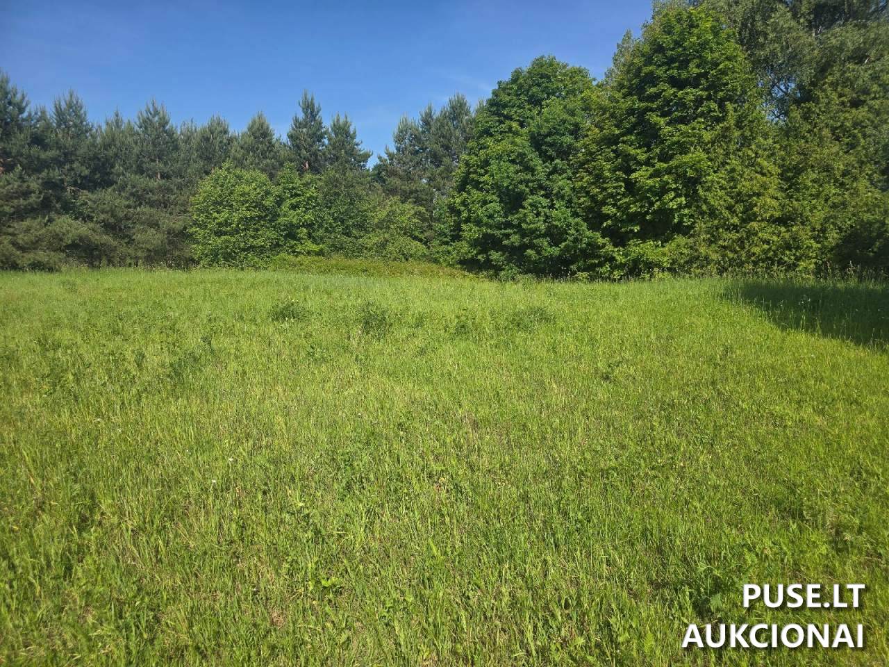 Žemės sklypas Sklypai Norkiškės g. 4, 73439 Skaudvilė, Lithuania 2