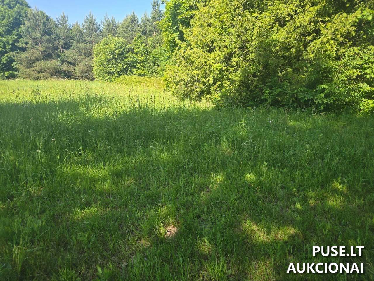Žemės sklypas Sklypai Norkiškės g. 4, 73439 Skaudvilė, Lithuania 3