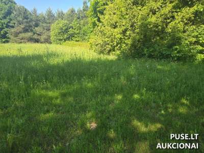 Valstybinės žemės sklypo aukcionas Tauragės r. sav., Skaudvilės m., Norkiškės g. 4D, pradinė kaina 4270 EUR