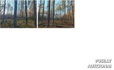 Žemės sklypo dalies pardavimas Varėnos rajone, Perlojos kaime, pradinė kaina 7920 EUR