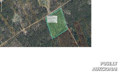 Žemės sklypo dalis (1/4) Varėnos r. sav., Perlojos k., parduodama aukcione nuo 6560 EUR