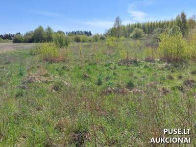 Valstybinis žemės sklypas Kretingoje Grūdų g. 9, pradinė kaina 83569 EUR