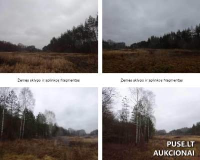 Žemės ūkio sklypas Vilniaus r. sav., Baltalaukio k., 1/2 dalis, pradinė kaina 101400 EUR