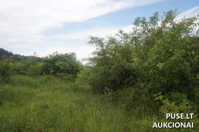 Valstybinis žemės sklypas Alytuje, Pabalių g. 35, pradinė kaina 23838 EUR