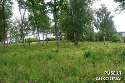 Valstybinės žemės sklypo aukcionas Alytuje, Pabalių g. 40, pradinė kaina 16747 EUR