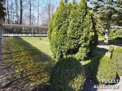 Žemės sklypas Radviliškio rajone, Šeduvoje, Topolių g. 31B, pradinė kaina 1311 EUR